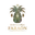Datilera Faraón